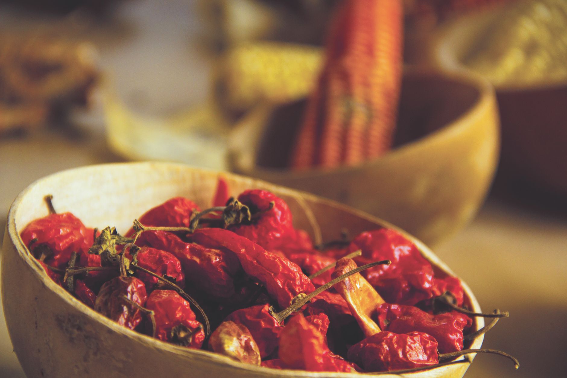 Taller de cocina mexicana con ingredientes frescos